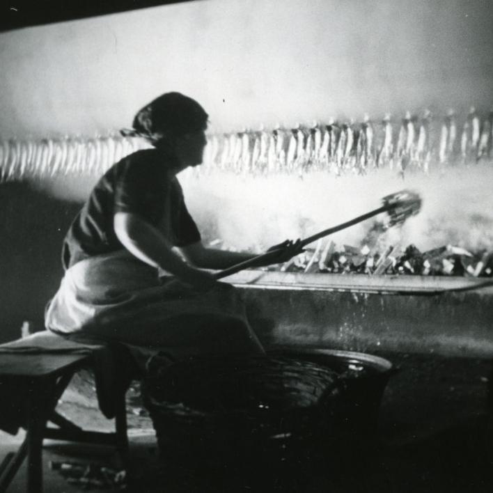 Bornholm rundt Danmark på Film