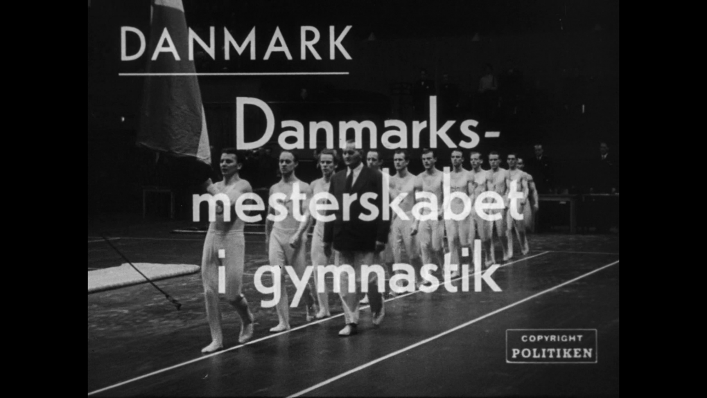 Danmarksmesterskabet i gymnastik 1950
