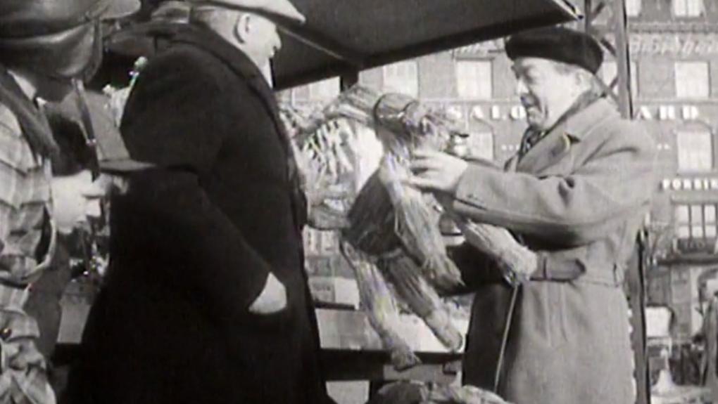 Julestemning i Stockholm og København