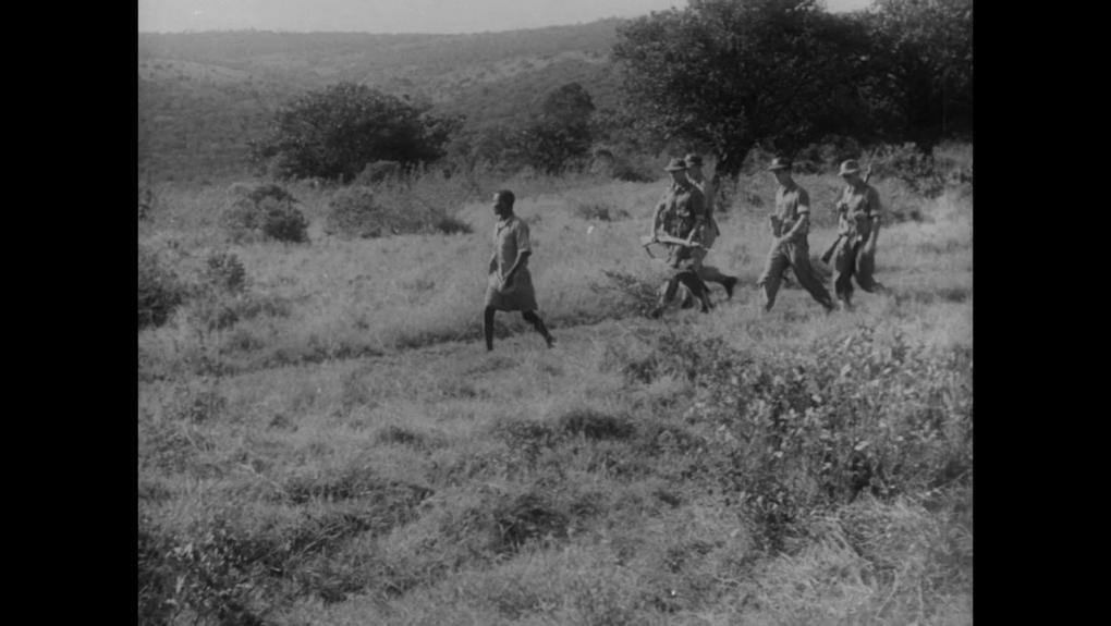 Kampen mod Mau Mau-bevægelsen