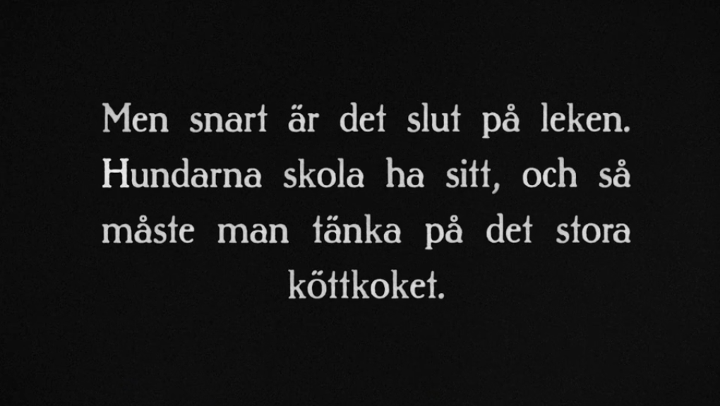 Med ackja och ren i Inka Läntas vinterland klip 1