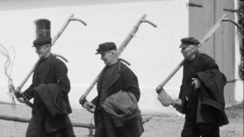 Høbjergning i Marsken