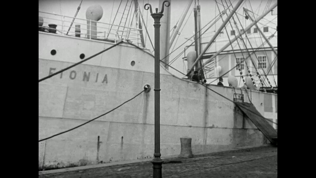 Fionia losses