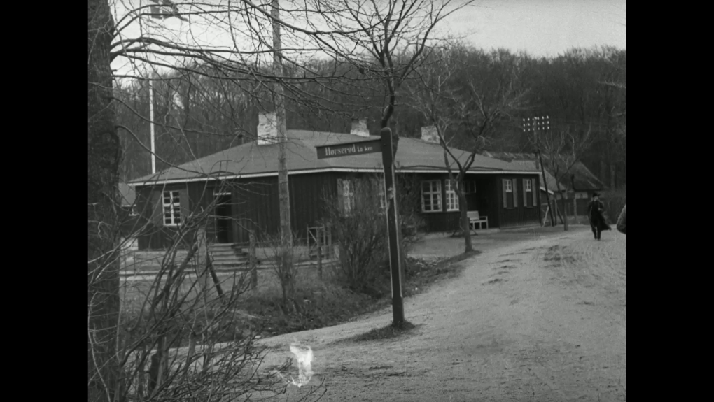 Krigsfanger i Horserødlejren