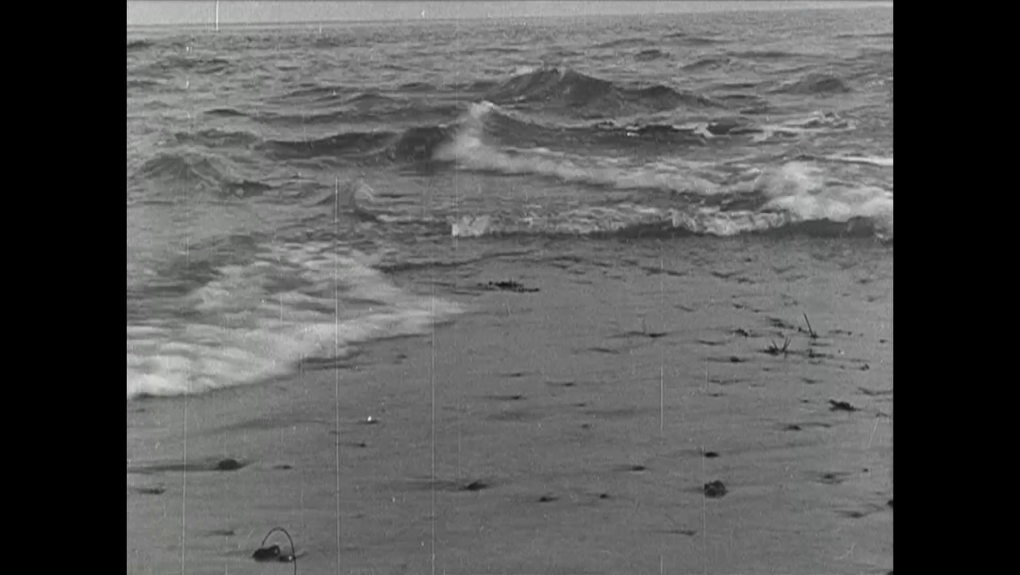 Hvor havene mødes på Grenen