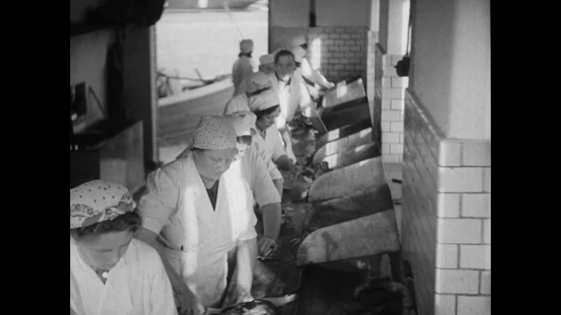 Bornholms Fiskefiletfabrik Danmark på Film